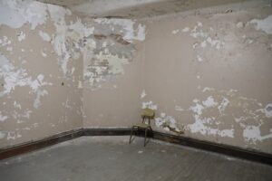 911 Restoration Mold Infestation-south-bay-la